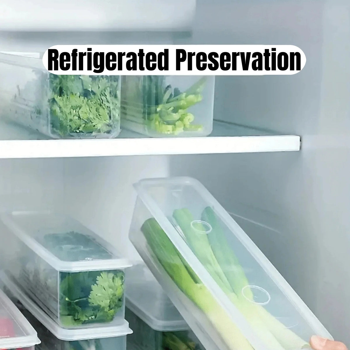 Lidded Refrigerator Storage Container