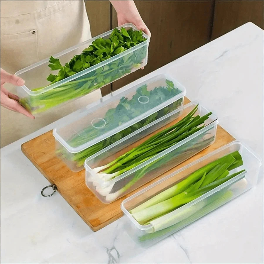 Lidded Refrigerator Storage Container